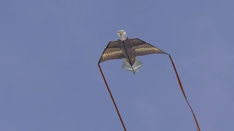 Five different kites2 4K Stock Footage 105878791