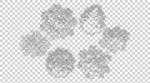 Five diverse top view trees isolated on transparent background cutout Stock Illustration