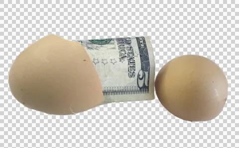 Five dollar bill in cream egg shell isolated on transparent background. Stock Photos