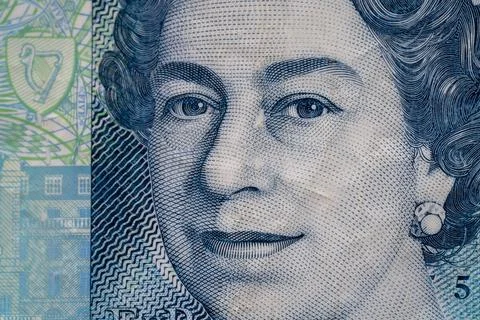 Five dollar bill with portrait of Queen Elizabeth II printed in blue Stock Illustration