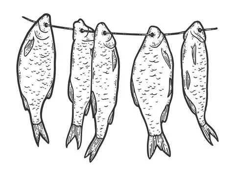 Five dried fish hanging on a rope. Sketch scratch board imitation. Illustrazione stock