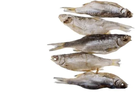 Five dried salted roach fish on a isolated white background Foto stock