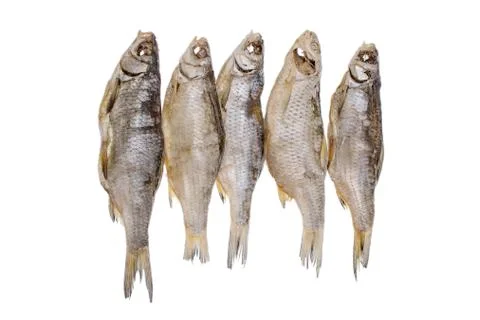 Five dried salted roach fishs on a isolated white background Stock Photos