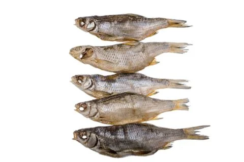 Five dried salted roach fishs on a isolated white background Stock Photos