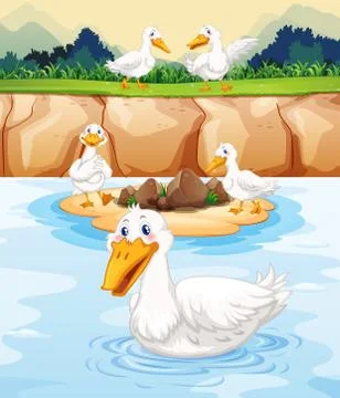 Five ducks at the pond Stock Illustration