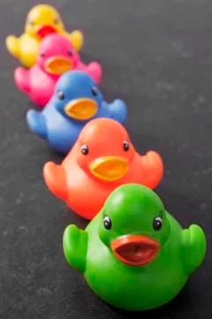 Five ducks in a row dark background Stock Photos