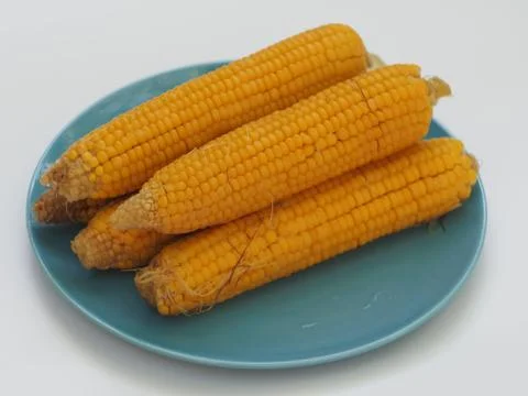 Five ears of boiled corn on a plate. Stock Photos
