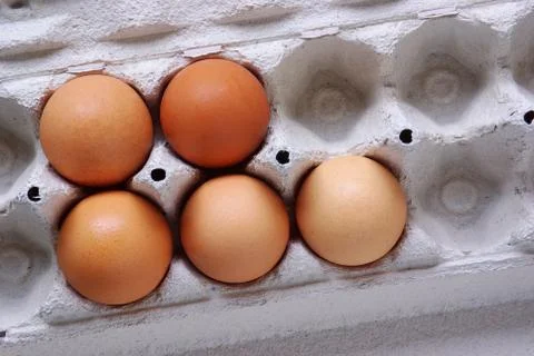 Five eggs Stock Photos