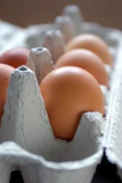 Five eggs Stock Photos