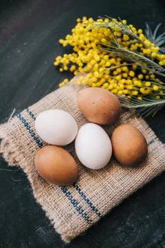 Five eggs Stock Photos