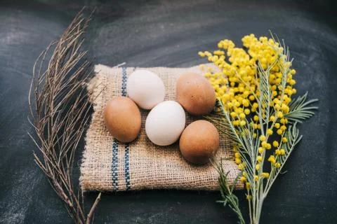 Five eggs Stock Photos