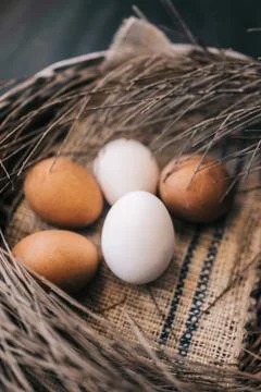 Five eggs Stock Photos