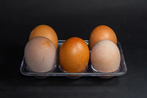 Five eggs rest in a clear plastic tray Stock Photos