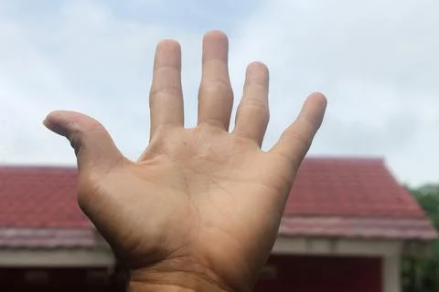 Five fingers facing the sky. Stock Photos