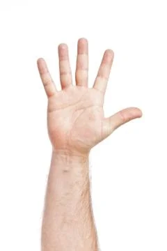 Five fingers Stock Photos