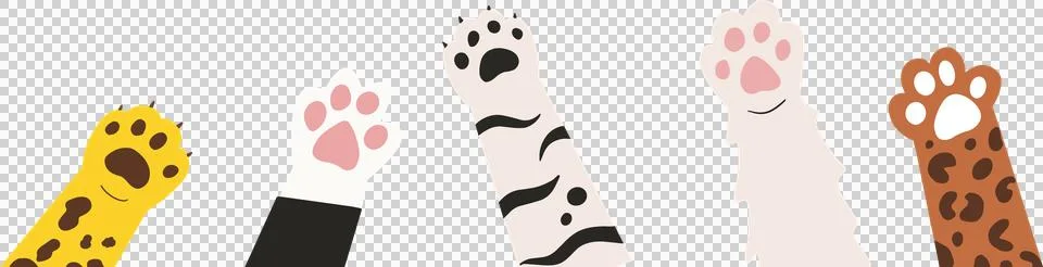 Five flat design paws are lining up on transparent backdrop, showing fur Stock Illustration