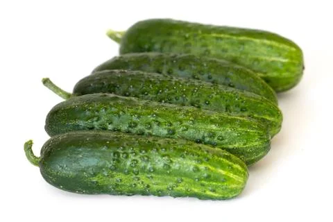 Five fresh cucumbers in a row on white background Stock Photos