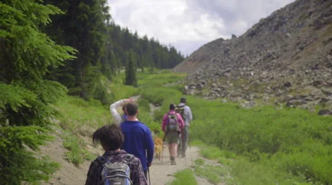 Five friends hiking together Stock Footage 59081823