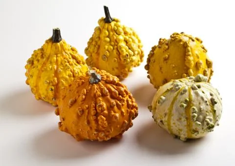 Five Gourds Stock Photos