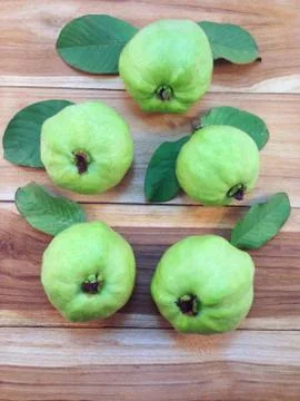 Five green guava Foto stock