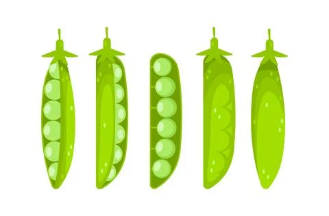 Five green peas in different opening stages showing their seeds Illustrazione stock