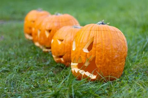 Five halloween pumpkin in the grass Stock Photos