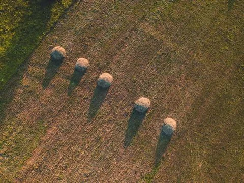 Five haystacks lined up in a row view from the height of the quadcopter at su Stock Photos