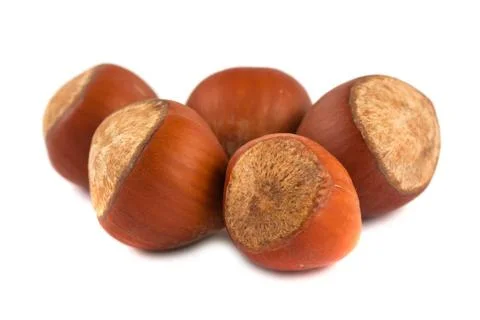 Five hazelnuts Five hazelnuts isolated on white background Copyright: xZoo... Stock Photos