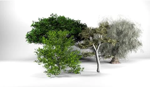 Five High Poly Trees – Digital Plants 1 3D Model