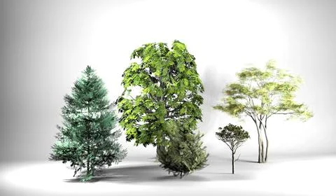 Five High Poly Trees – Digital Plants 2 3D Model