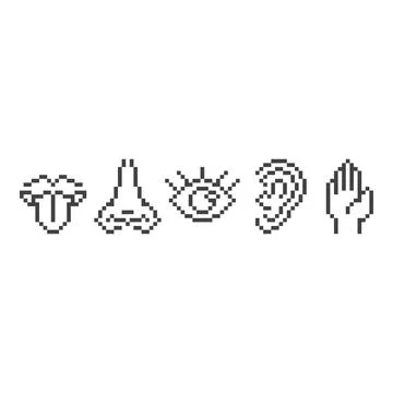 Five human senses. Elements taste, smell, vision, hear, touch . Pixel art l.. Stock Illustration