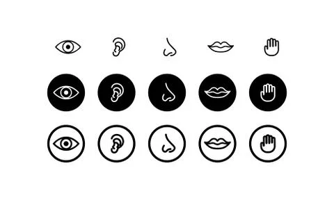 Five human senses. Hearing, smell, sight, taste and touch. Vector on isolated Stock Illustration