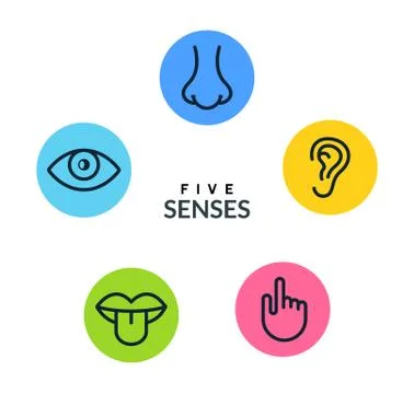 Five human senses vision eye, smell nose, hearing ear, touch hand, taste mouth Stock Illustration