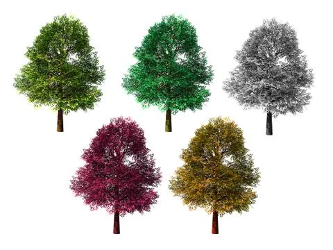 Five isolated colored trees on white background Stock Illustration