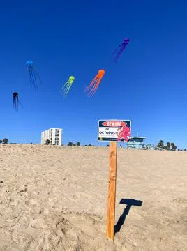 Five kites in the shape of an octopus fly over the beach 写真素材