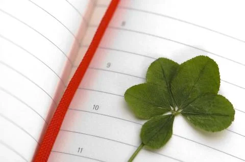 Five Leaf Clover and New Day. Stock Photos
