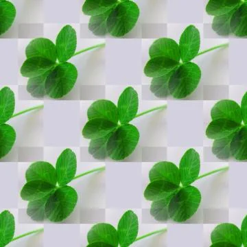 Five-leaf clover green on light gray shifted Stock Photos