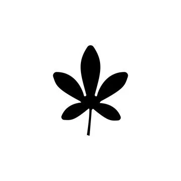 Five Leaf Clover, Lucky Irish Plant Solid Flat Vector Icon Isolated on White  Illustrazione stock