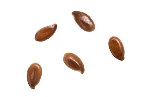 Five linseed on white background Foto stock