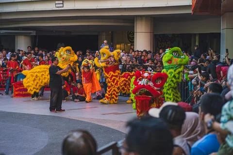 Five lion dances entertain the crowd Stock Photos
