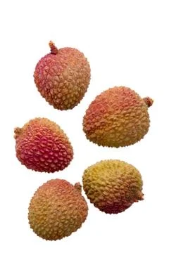 Five lychees Stock Photos