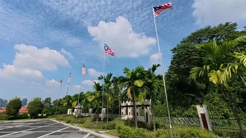 Five Malaysian Flags Waving at Midday Stock Footage 320391486