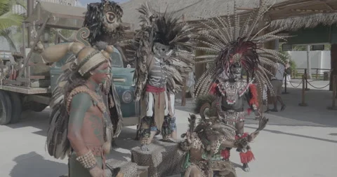 Five Men in Headdresses and Bird Costumes Video stock 168436369