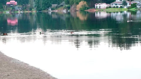 Five Mile Lake Park, Washington state 2 Stock Footage 329324205