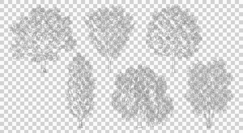 Five mixed species trees isolated on transparent background Stock Illustration