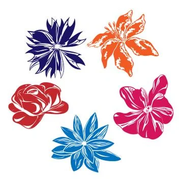 Five multi-colored vector flowers Stock-Illustration
