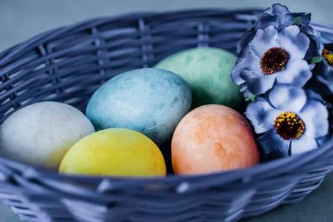 Five multicolored decorative eggs in  blue basket on  gray background. Easter Stock Photos