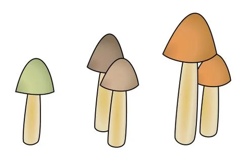Five mushrooms with small cap 스톡 일러스트