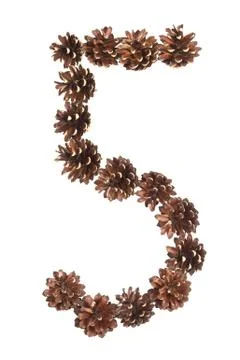Five number made of pine cone Stock Photos