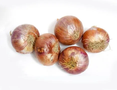 Five onion at white background Stock Photos